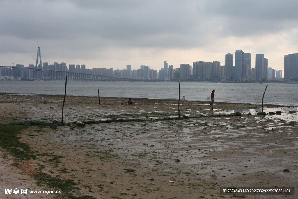 湛江城市边缘的湿地景观