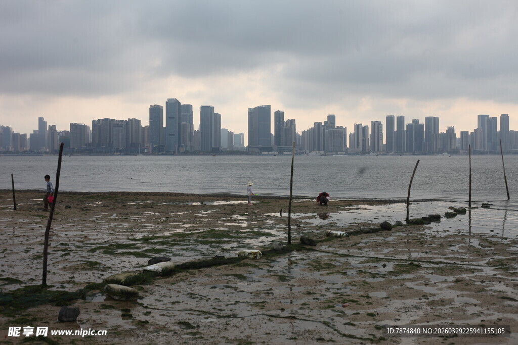 湛江江边滩涂与远处城市景观
