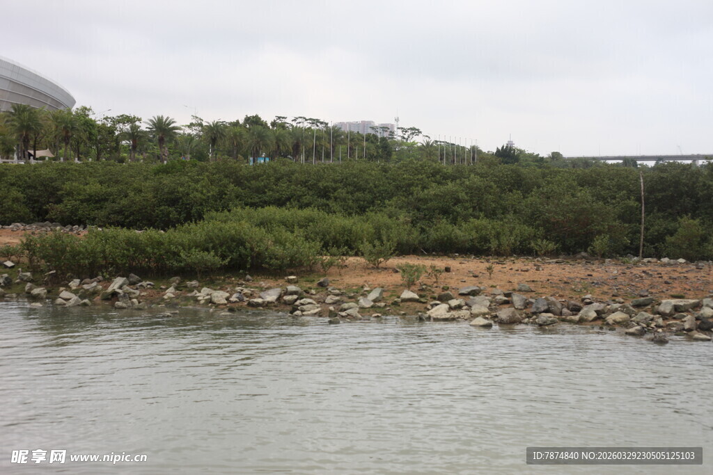 湛江岸边绿植环绕的水域景观