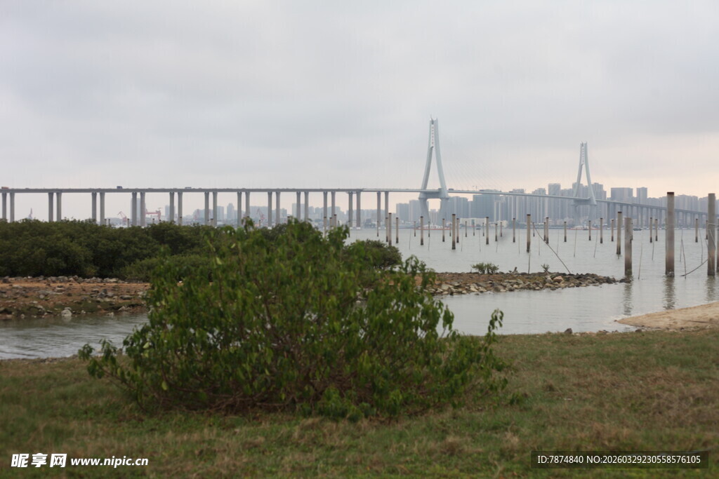 湛江海滨大桥风景