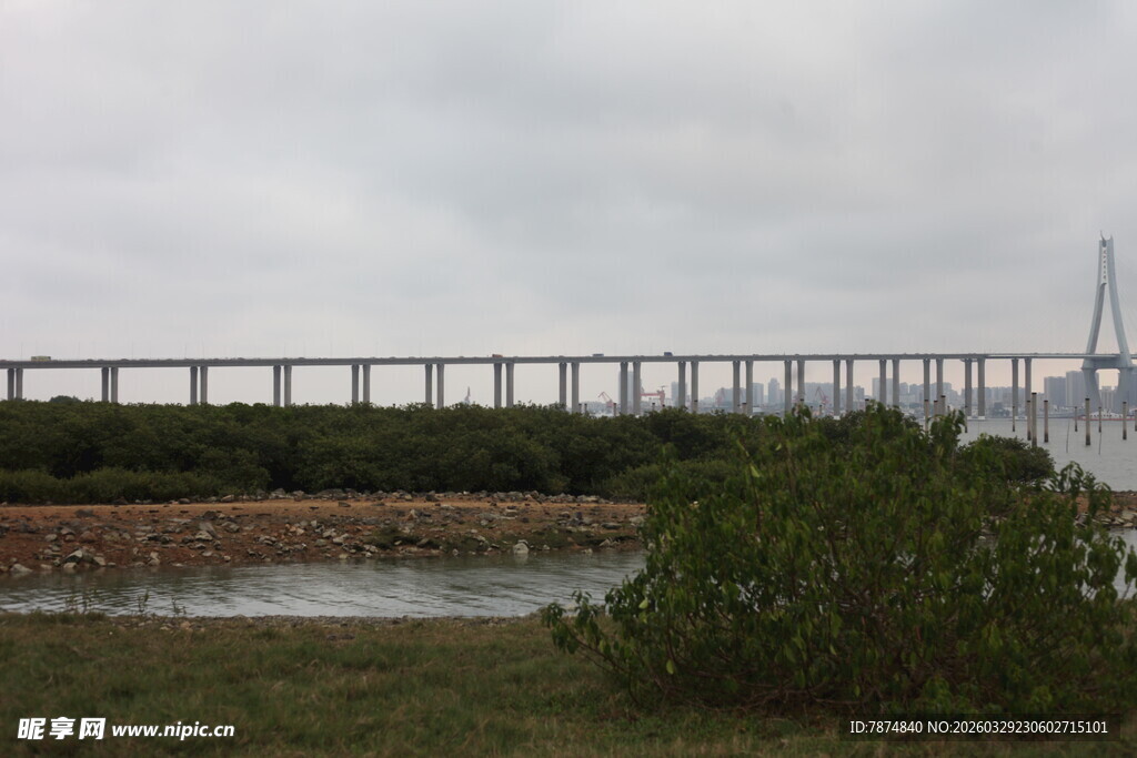 湛江远景中的宏伟桥梁景观