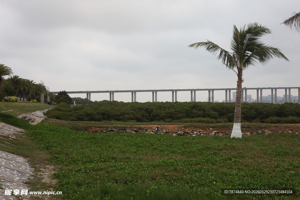 湛江田野旁的高架桥景观