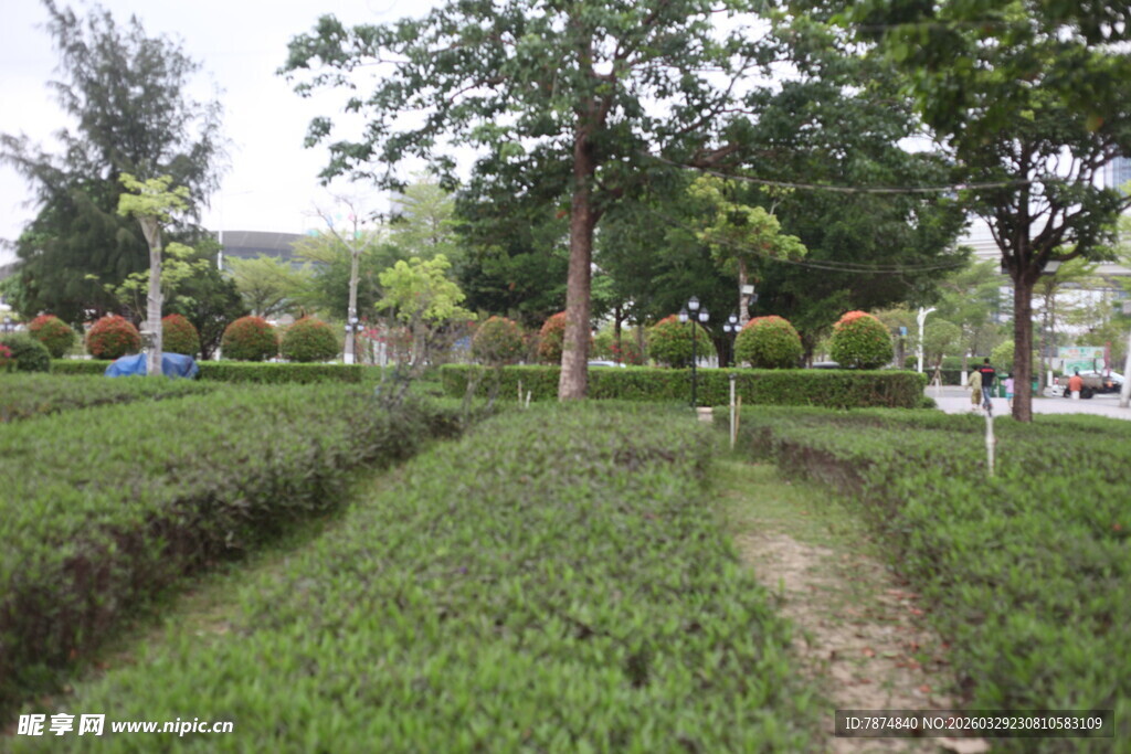 湛江绿意盎然的园林小径