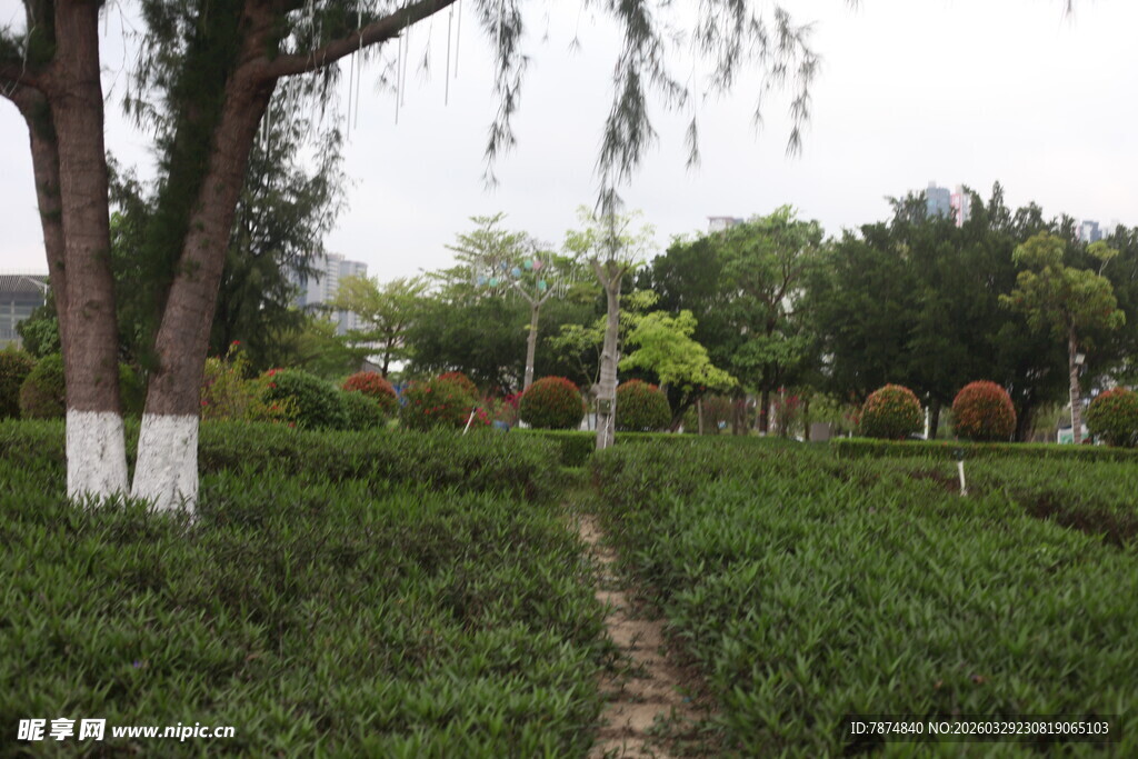 湛江绿意盎然的园林小径