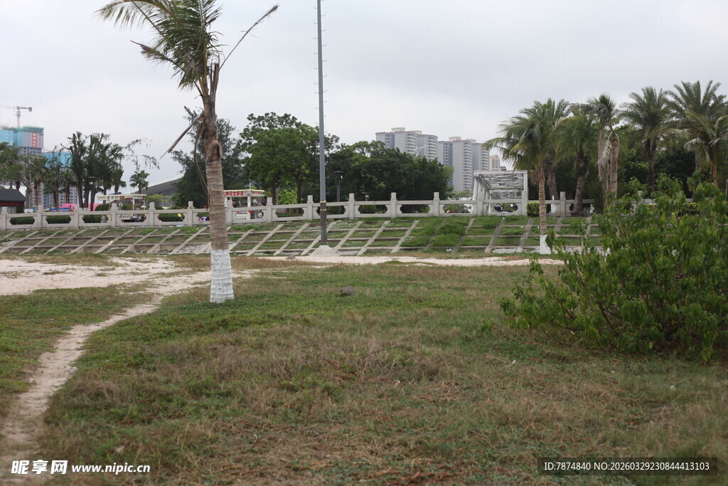 湛江户外草地与树木风景