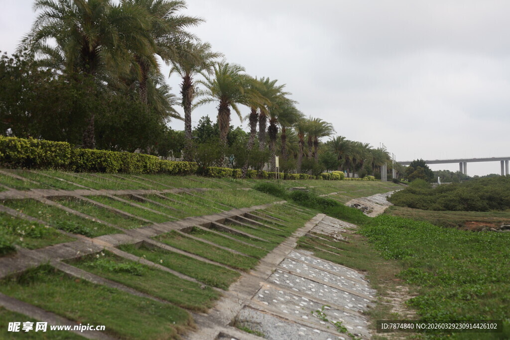 湛江田园风光中的绿植与步道
