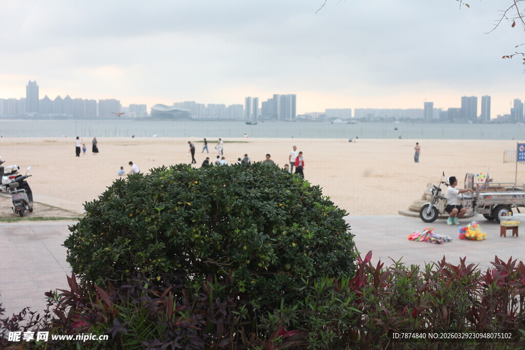 湛江江边城市景观与绿植点缀