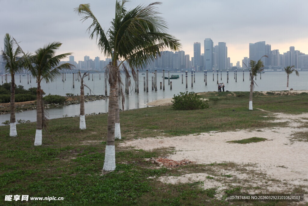 湛江海滨椰林与远处城市景观