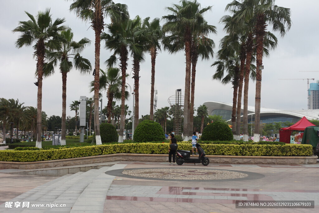 湛江广场上的棕榈树与行人