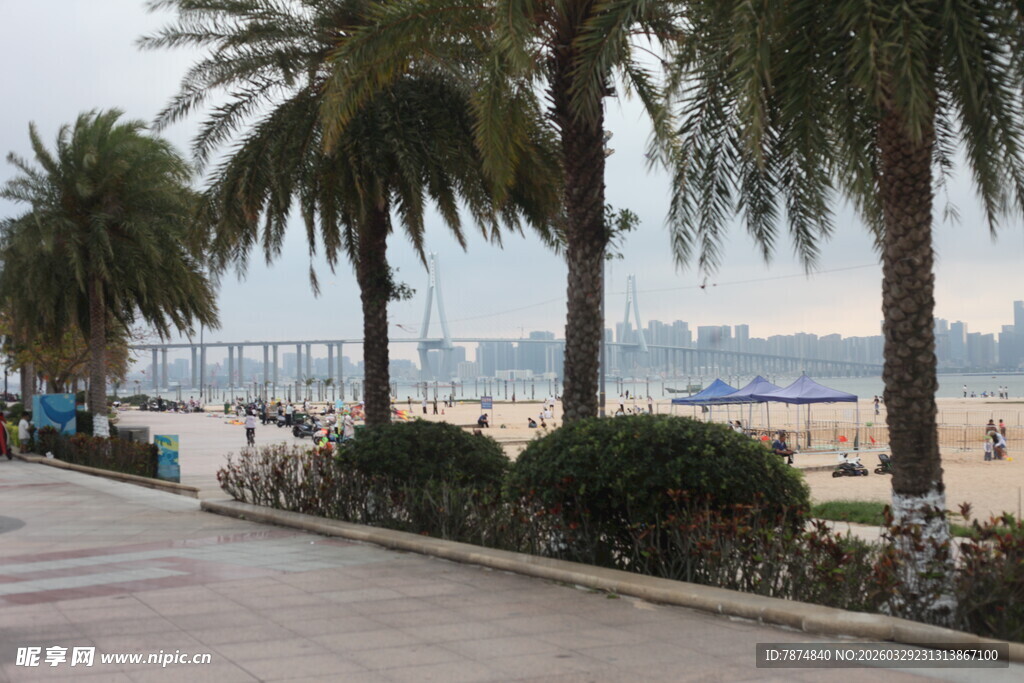 湛江海滨棕榈树旁的休闲步道