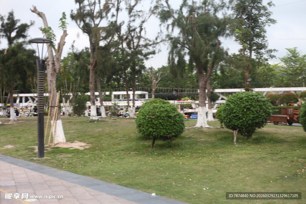 湛江户外绿树环绕的休闲场景