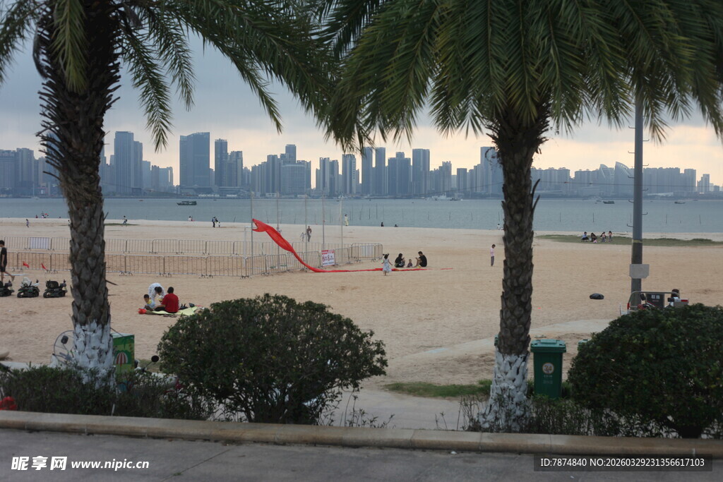 湛江海滨城市沙滩与棕榈树景观