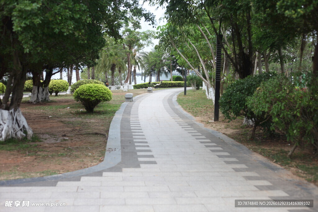 湛江林间幽静小路