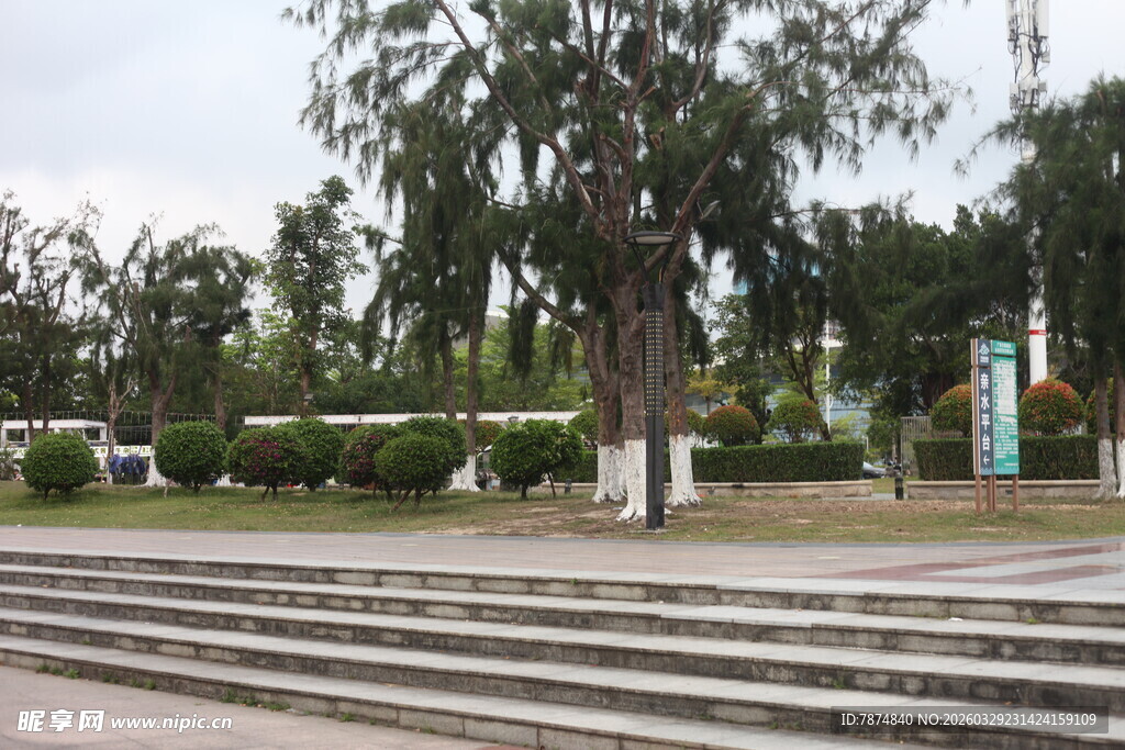 湛江户外阶梯旁的绿树景观