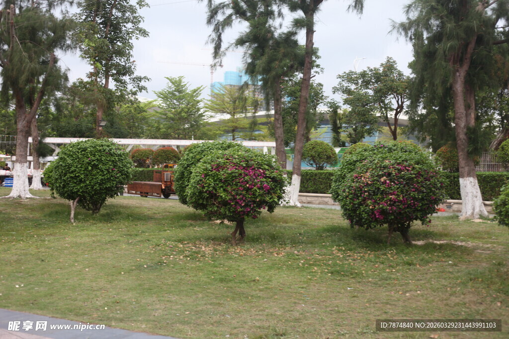 湛江园林绿植景观
