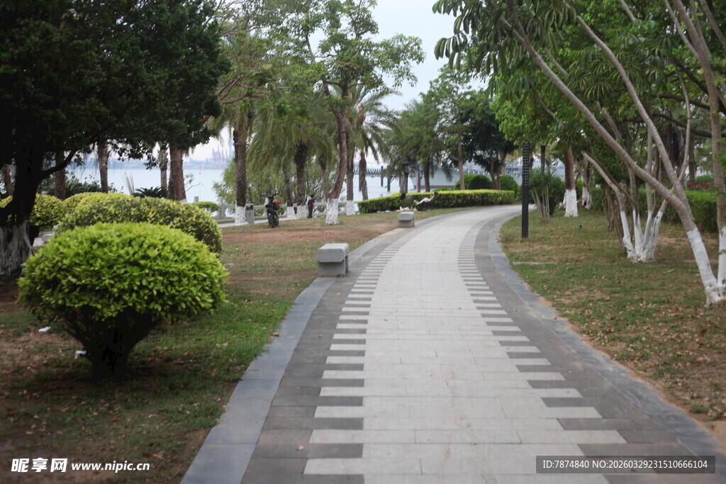 湛江林间漫步小径 绿意盎然