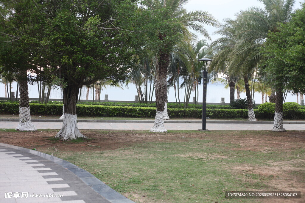 湛江海滨林荫步道景观