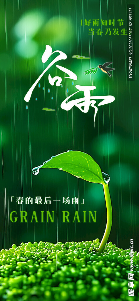 谷雨海报