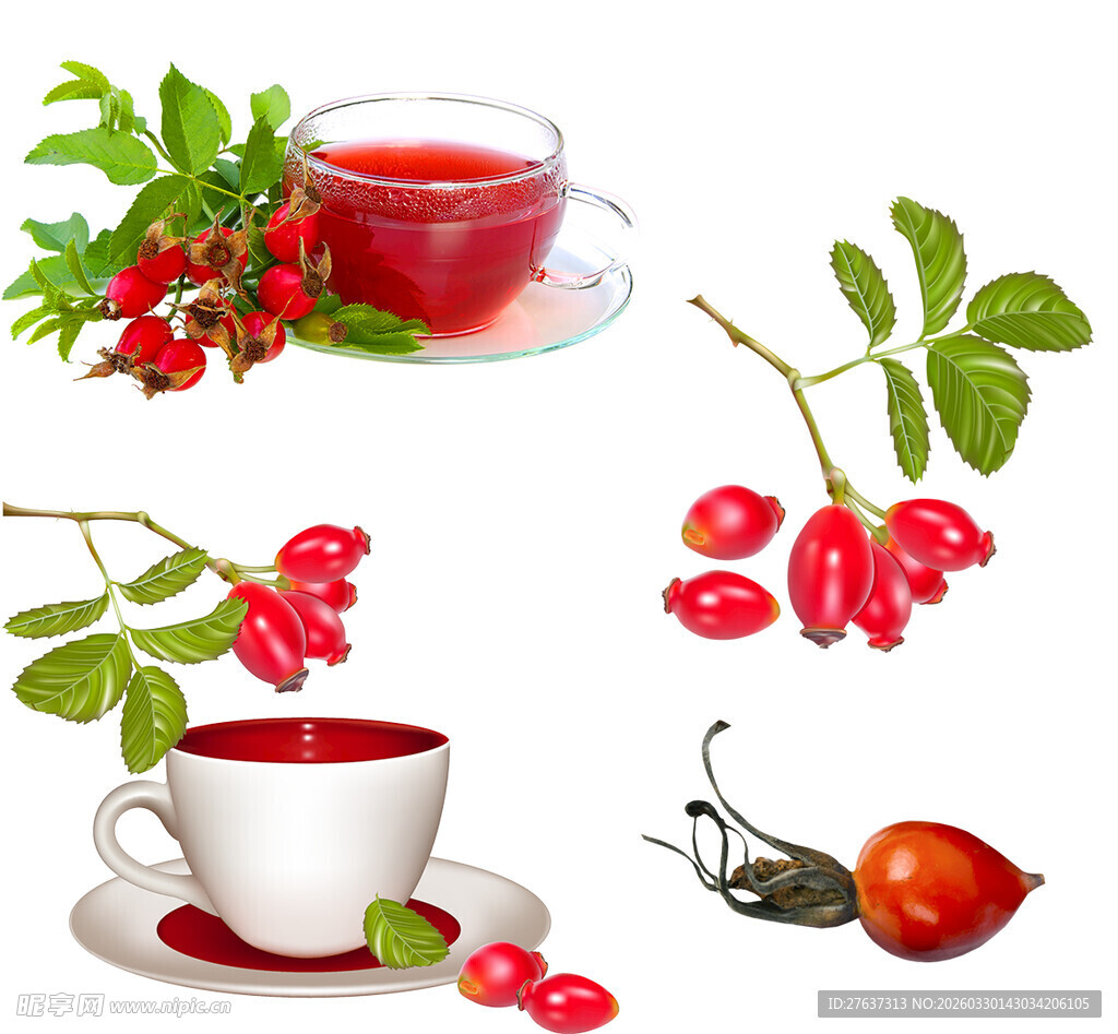 玫瑰果茶与鲜果展示