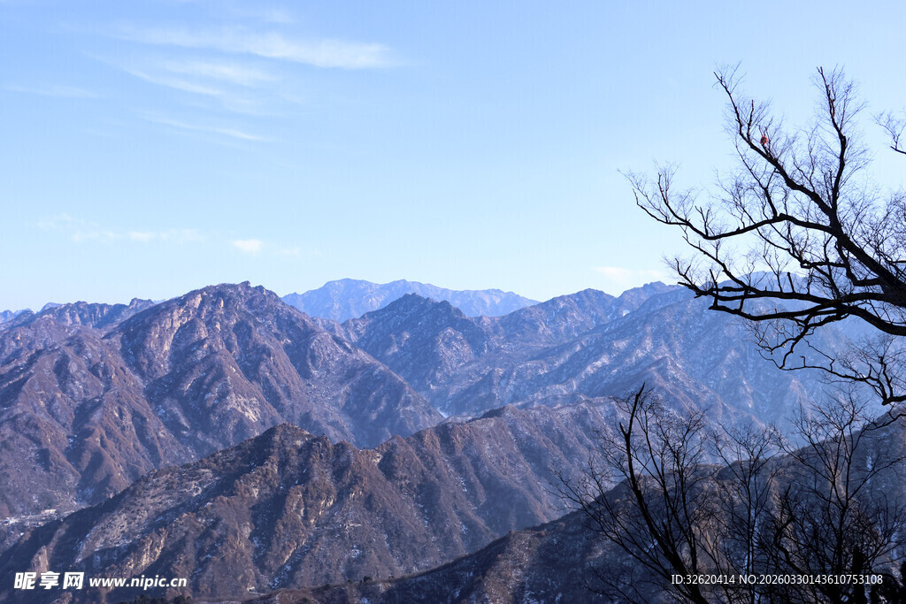 山峦远景与枝头枯树
