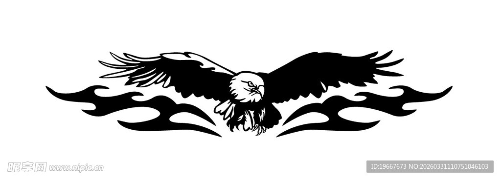 老鹰矢量图