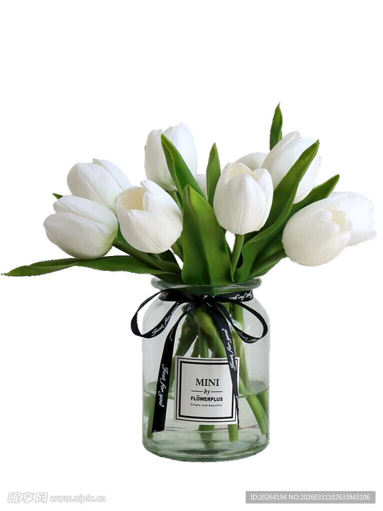 玻璃花瓶中的白色郁金香