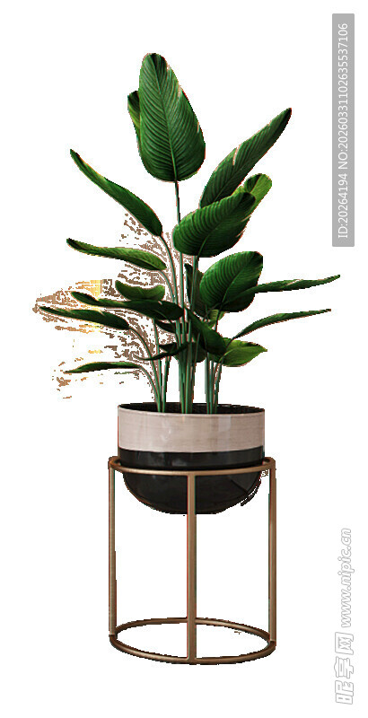 金属架绿植盆栽