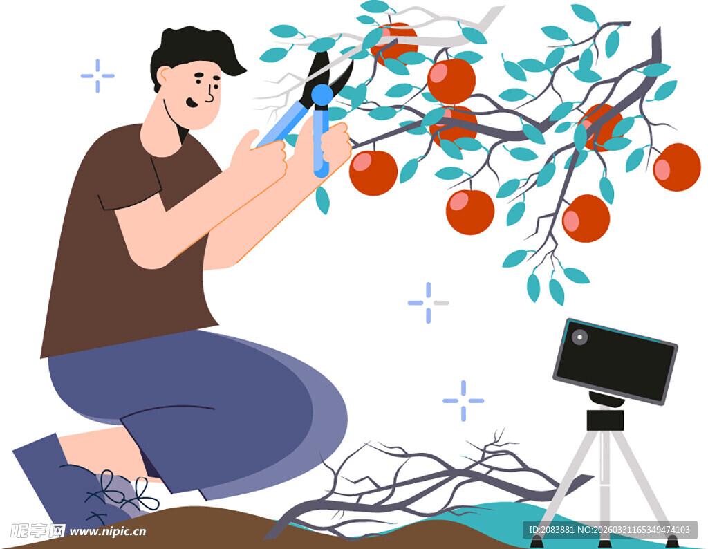 男子果园拍摄丰收景象