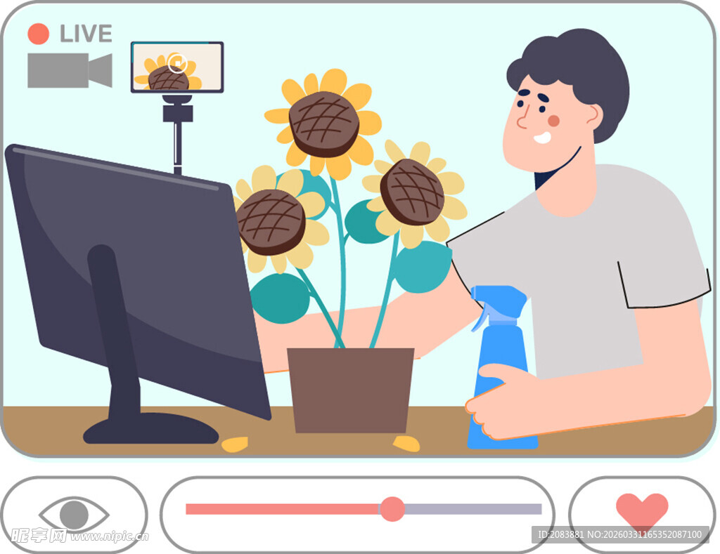 主播直播中展示向日葵盆栽