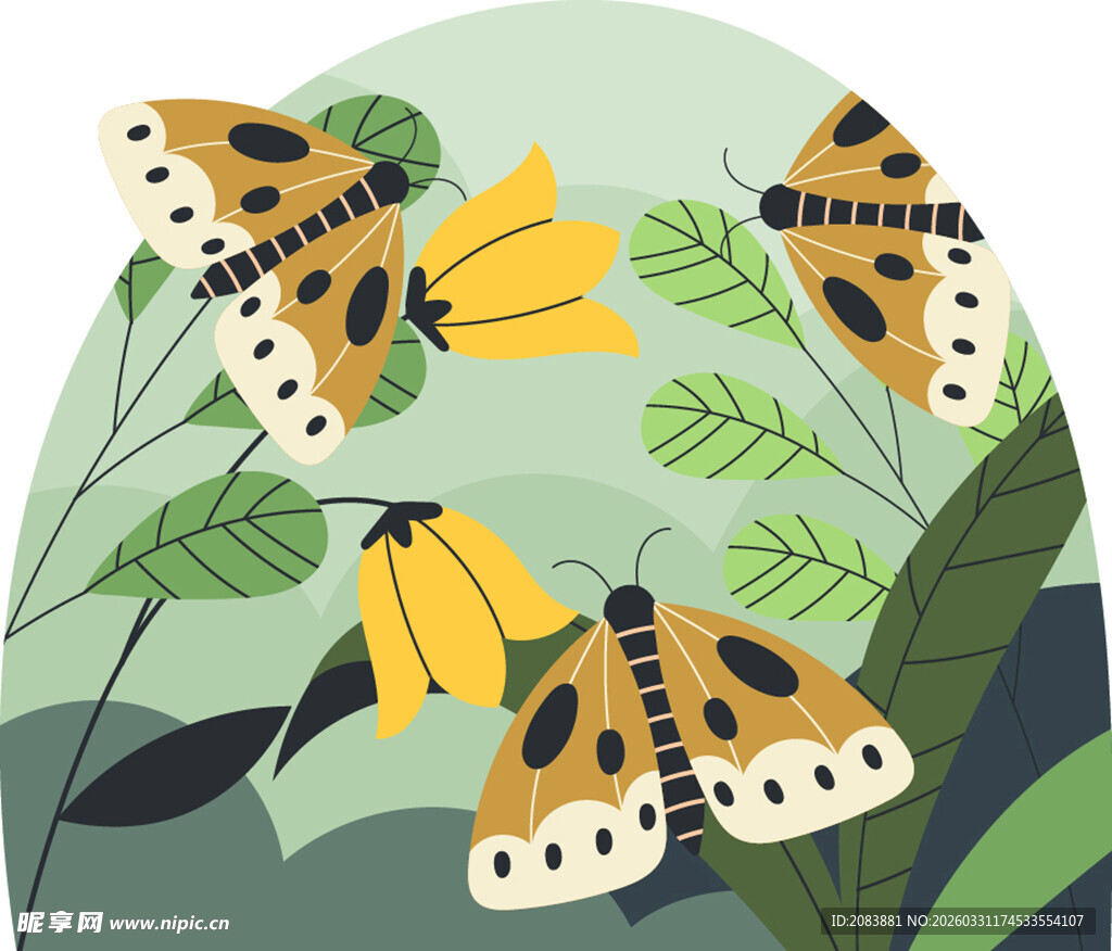 花丛中的多彩蛾类蝴蝶