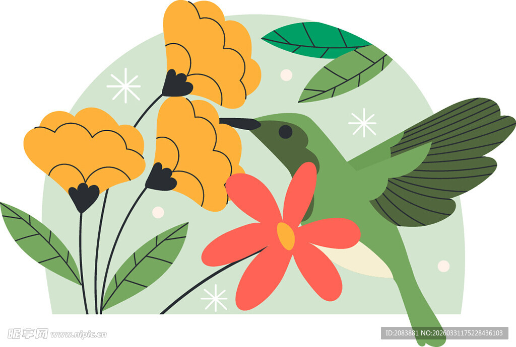 蜂鸟与花卉插画