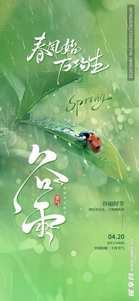 谷雨海报