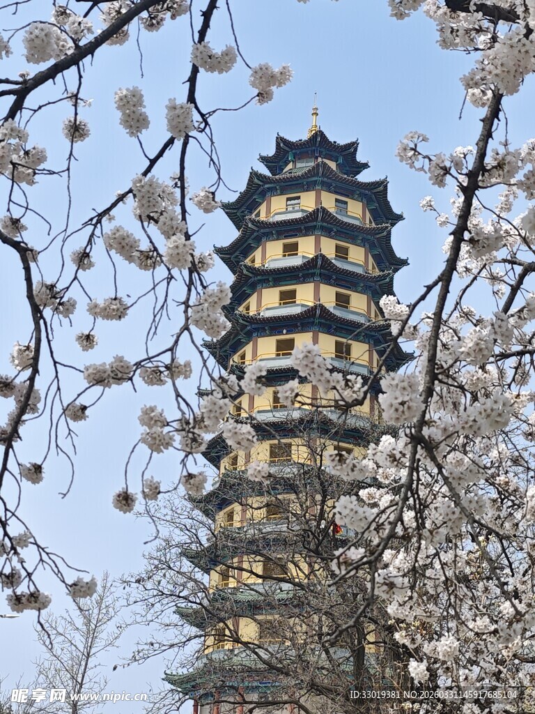 樱花环绕的古塔美景