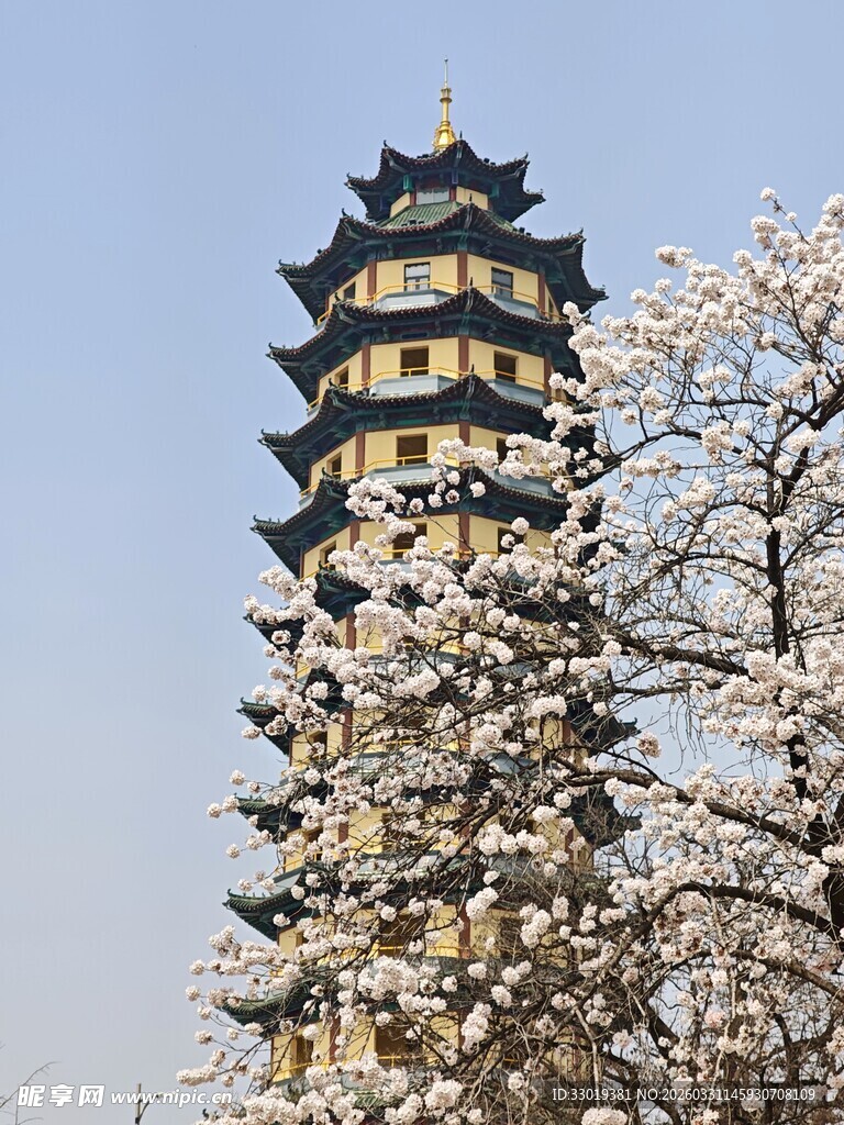 古塔春花相映成美景