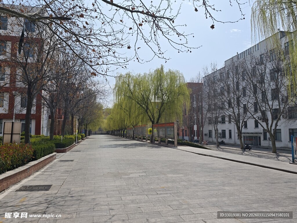 春日宁静的街道景象