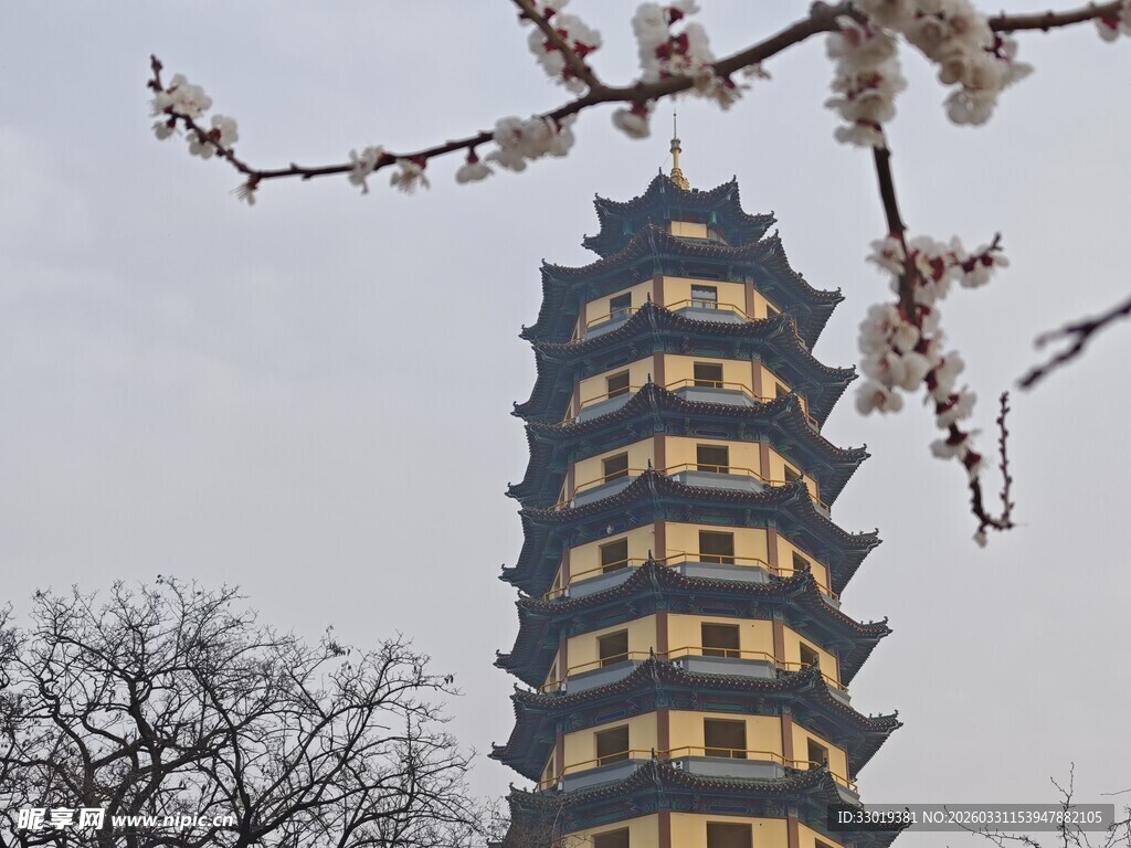 古塔旁绽放的烂漫花枝