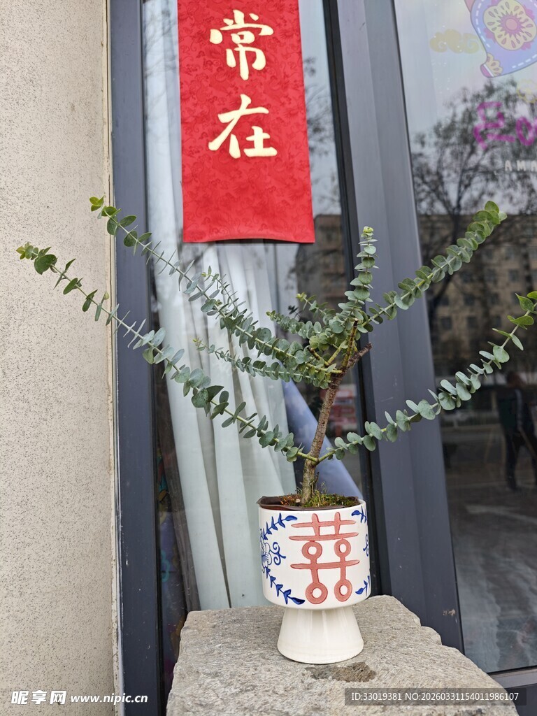 中式花瓶中的绿植