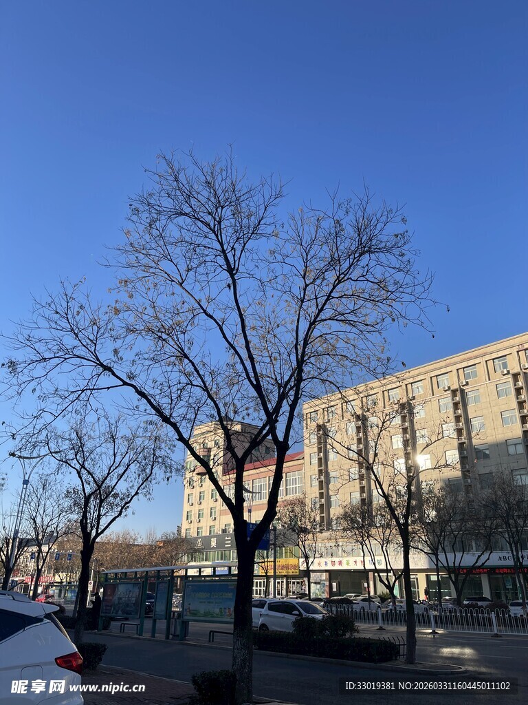 冬日城市街道旁的建筑景观