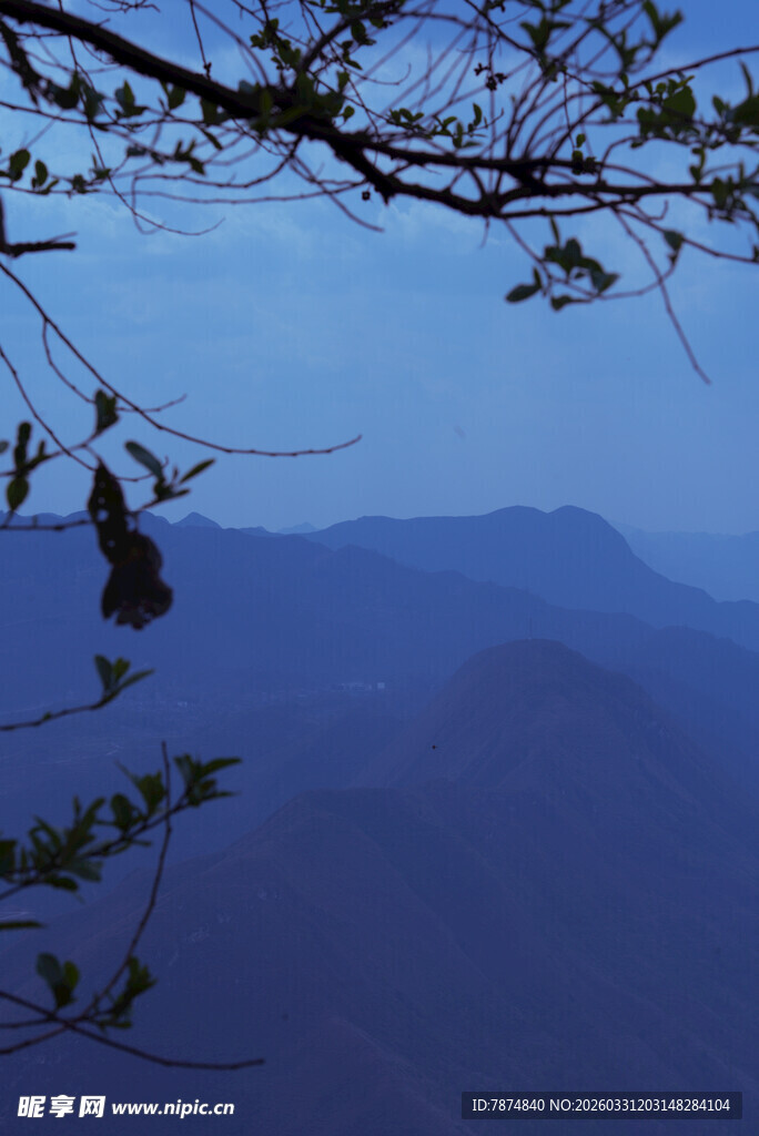 山间暮色 枝头新绿初绽