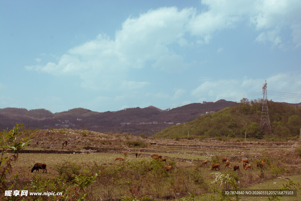 草原风光 远处山峦与天空