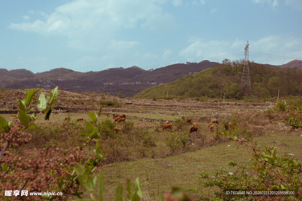 山野风光 自然景致