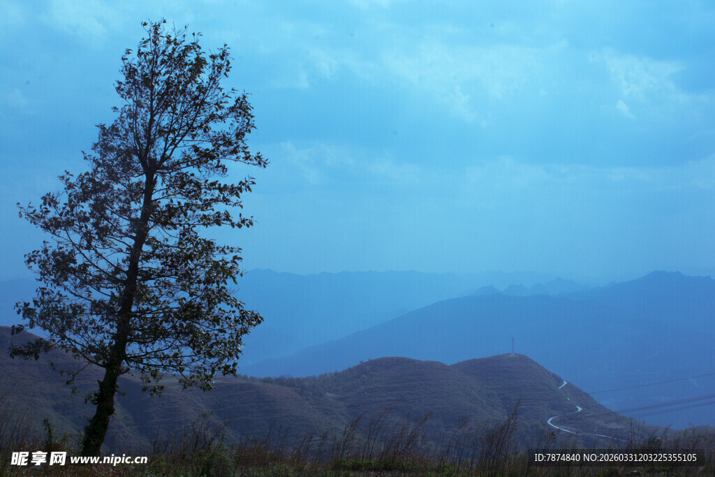 孤树矗立在远山蓝天下