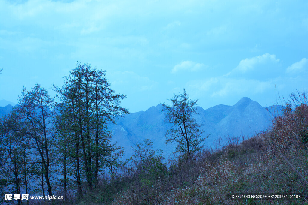 山间树木与远处朦胧山峦