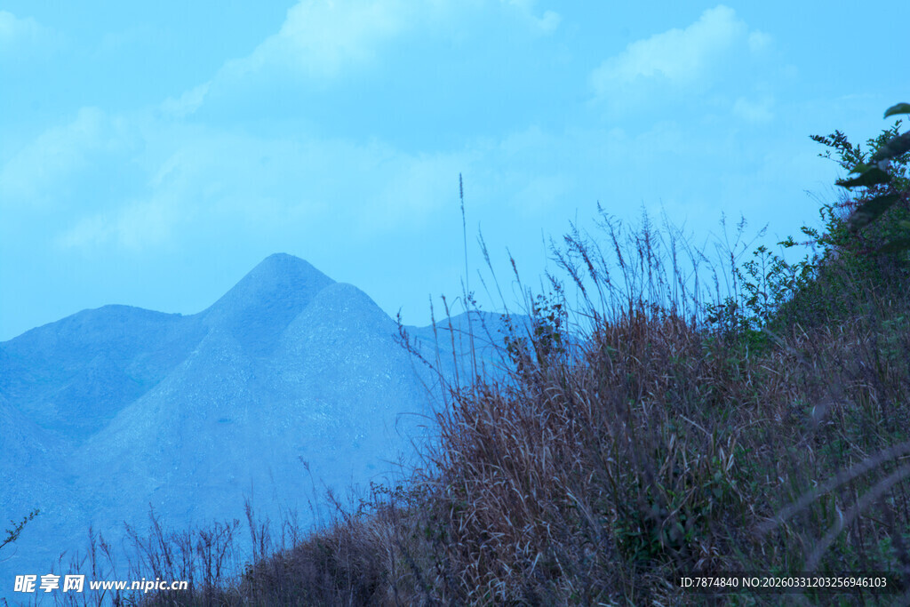 山间景象 远峰与近草