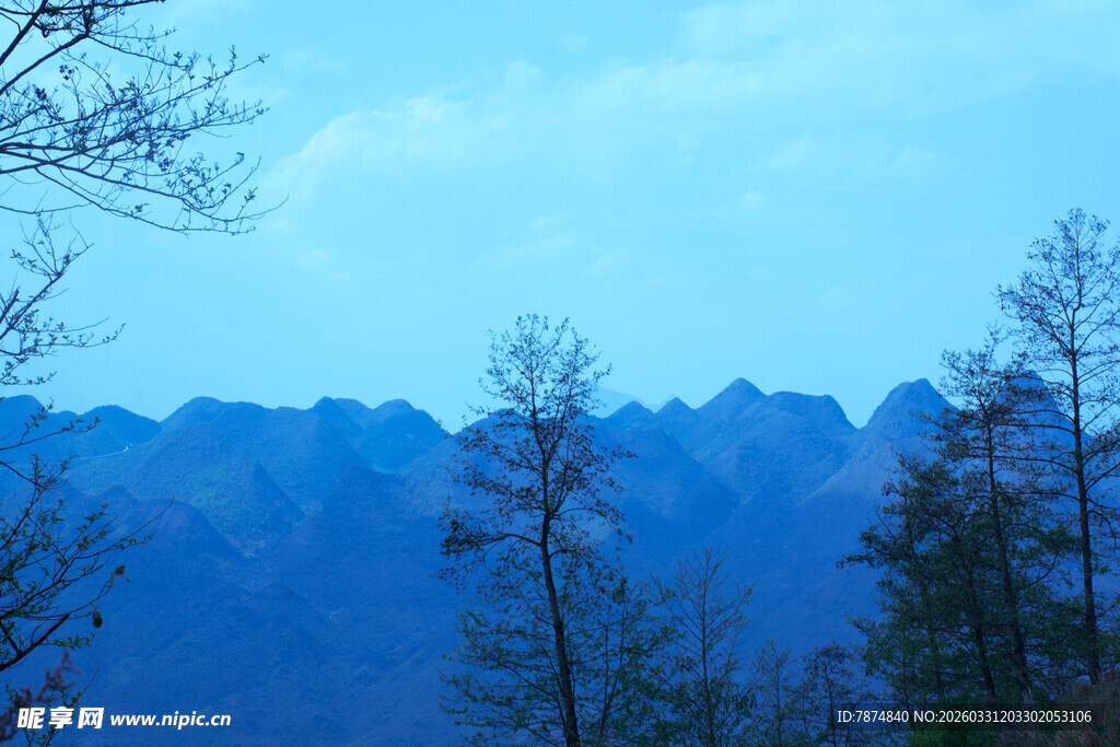 远山枯树的自然景致