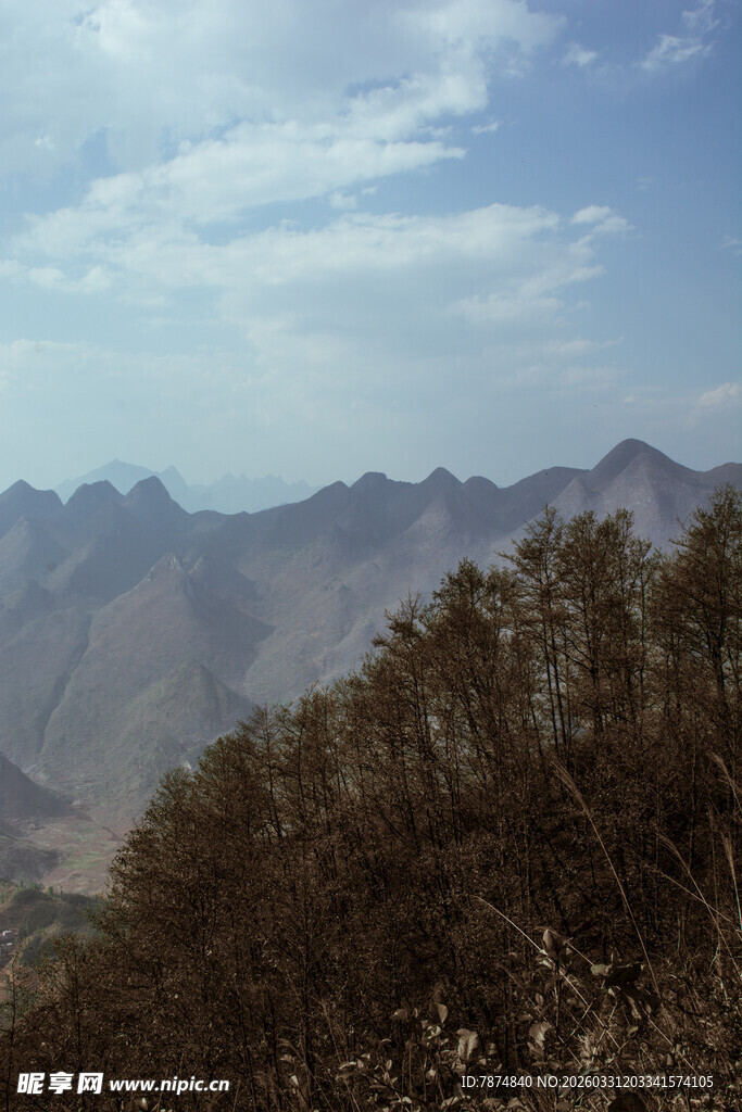 山峦与树木的自然景致