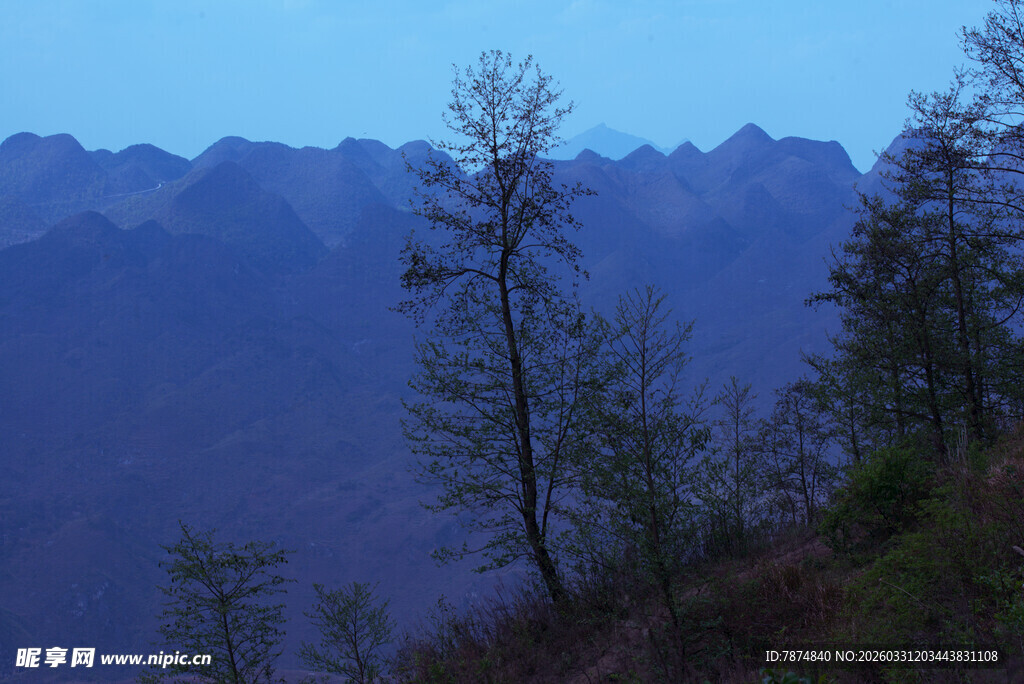 山间孤树 暮色下的静谧景致
