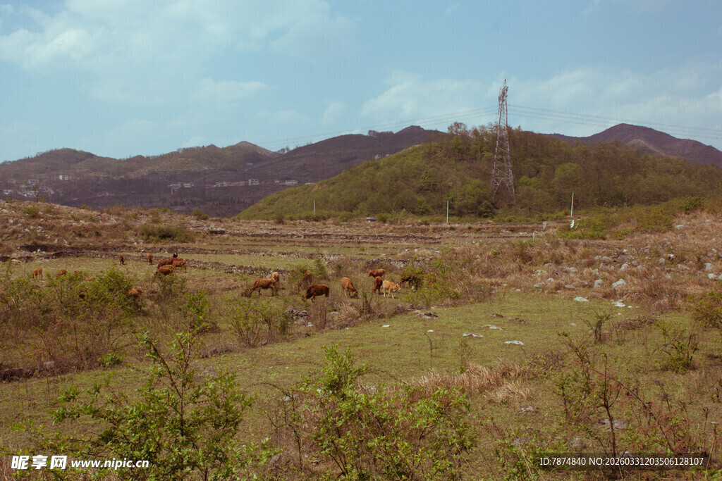 乡村田野自然风光图