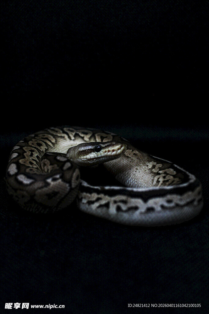 复古花纹银戒指特写