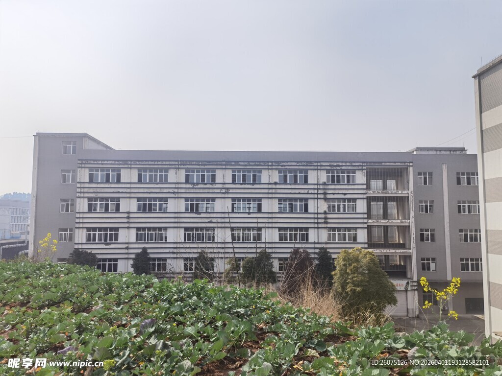 校园旁的绿植与多层建筑